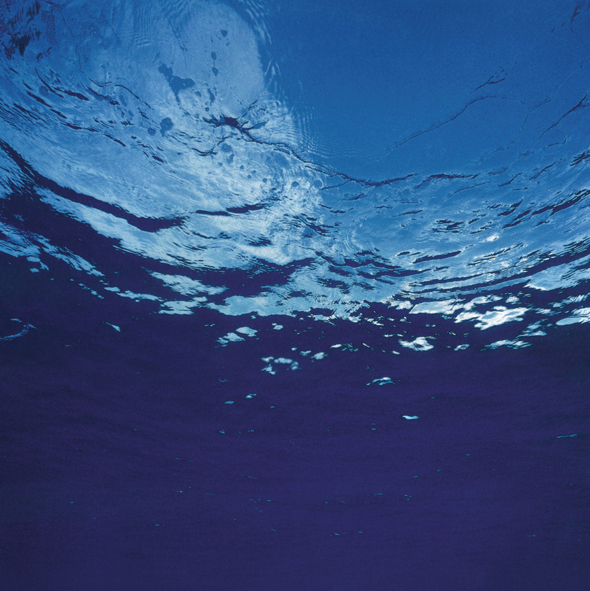 Akira Ito - Marine Flowers |-
