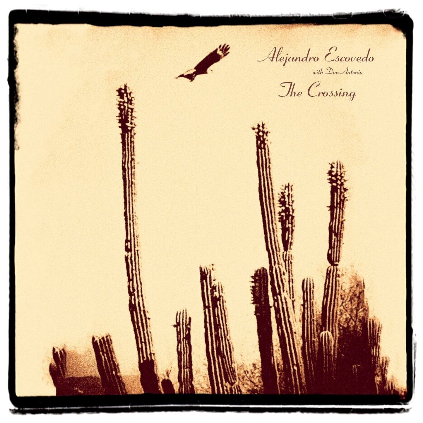 Alejandro Escovedo - CROSSING (CD) | Mint (M) Mint (M)-