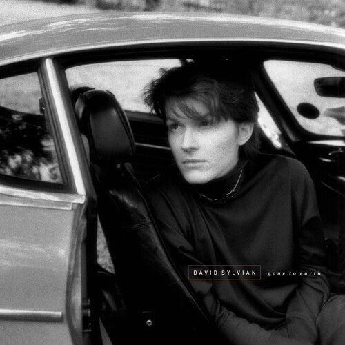 David Sylvian - (PRE-ORDER 10/3/25) Gone To Earth (2xWHITE BROWN OPAQUE BLACKVINYL) | Mint (M) Mint (M)-