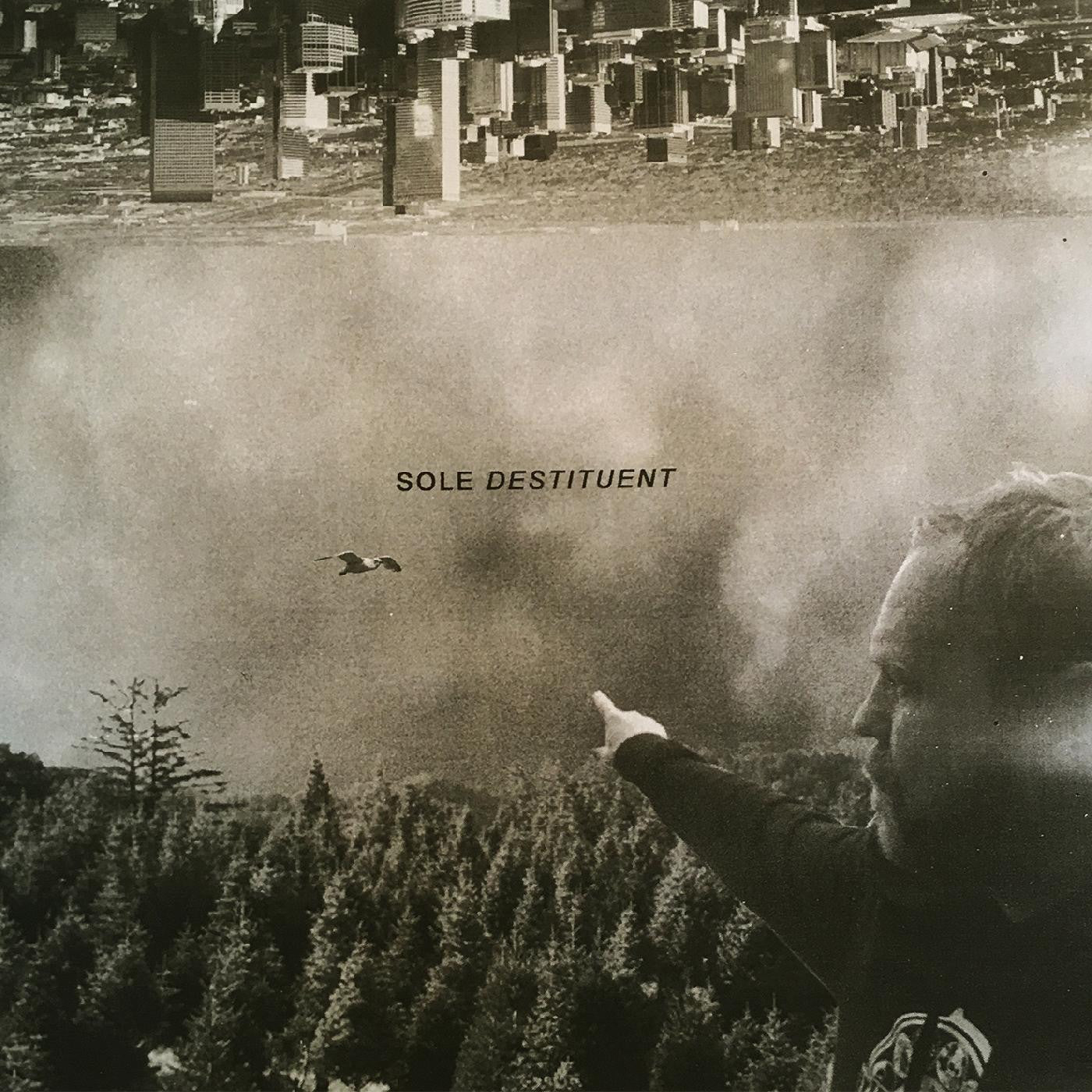 Sole - Destituent (Vinyl) |-
