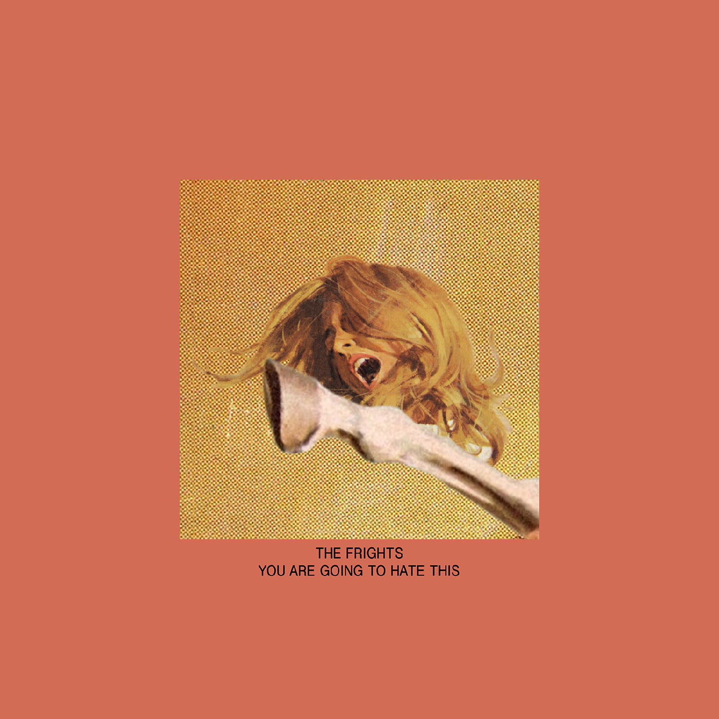 Frights, The - You Are Going To Hate This |-