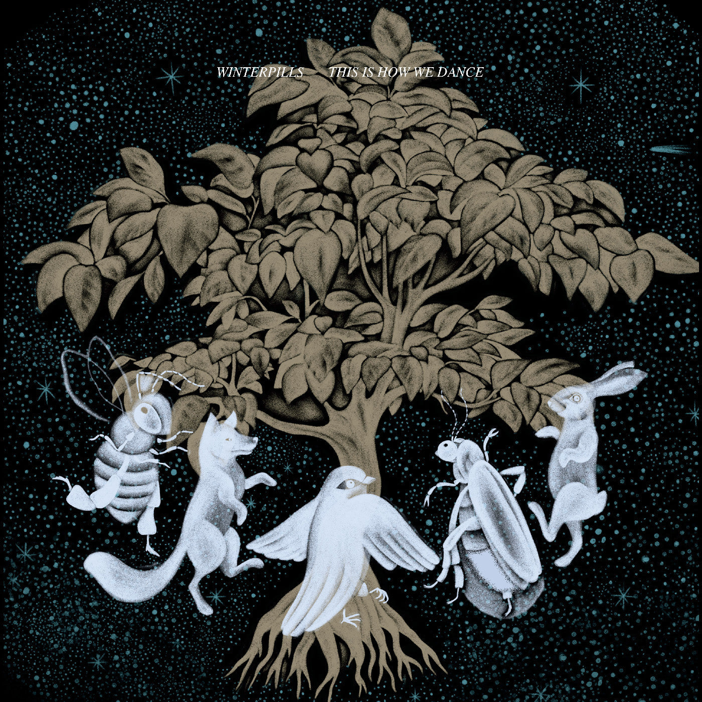 Winterpills - This Is How We Dance (VINYL) | Mint (M) Mint (M)-