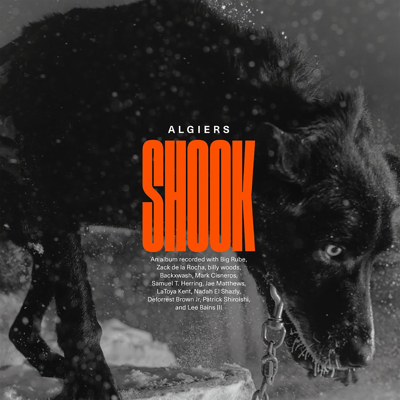 Algiers - Shook (CD) |-
