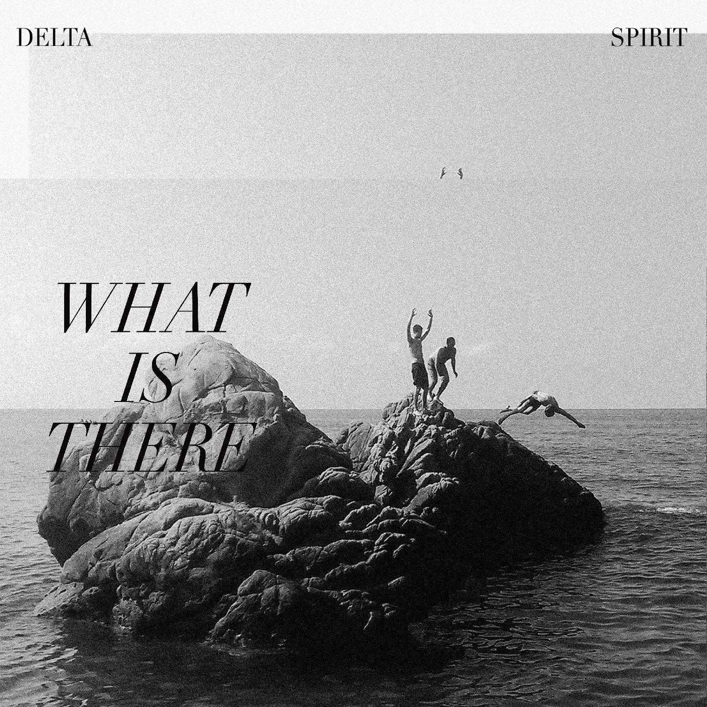 Delta Spirit - What Is There (CD) | Mint Mint-