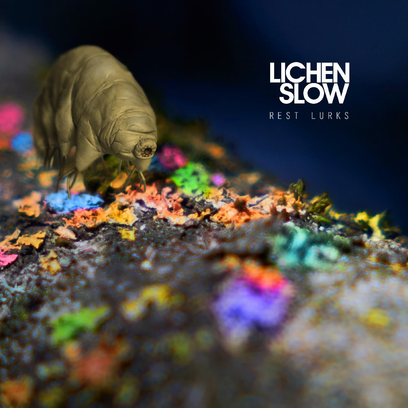 Lichen Slow - Rest Lurks (CD) |-