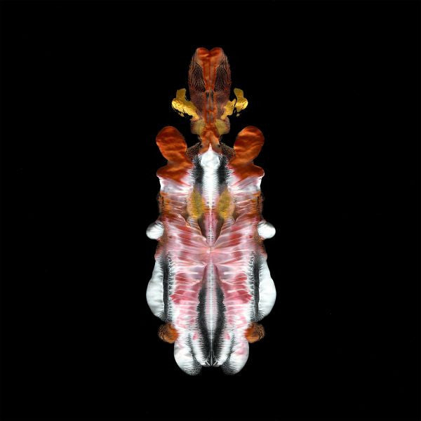 Scraps Of Tape - The Will To Burn (CD) |-