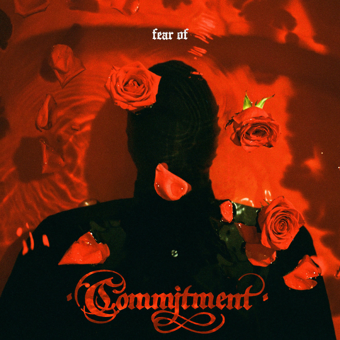 Commitment - Fear Of (VINYL) | Mint (M) Mint (M)-