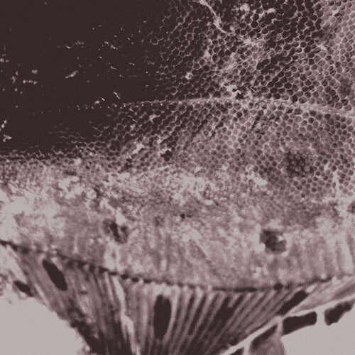 Mark Ijzerman - Flounder Maps (VINYL) | Mint (M) Mint (M)-