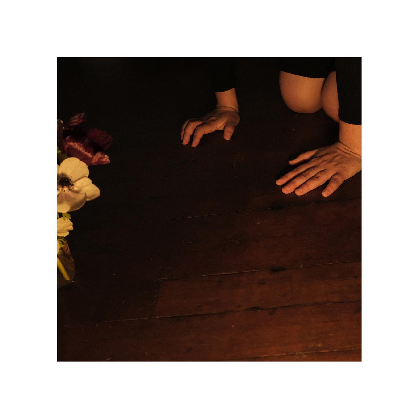 Decker, Sally - In The Tender Dream (CD) |-