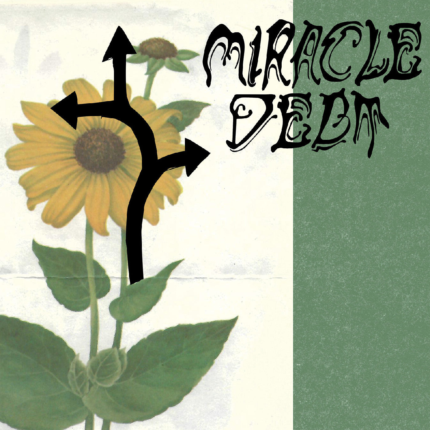 Miracle Debt - Under the Shadow (Vinyl) |-