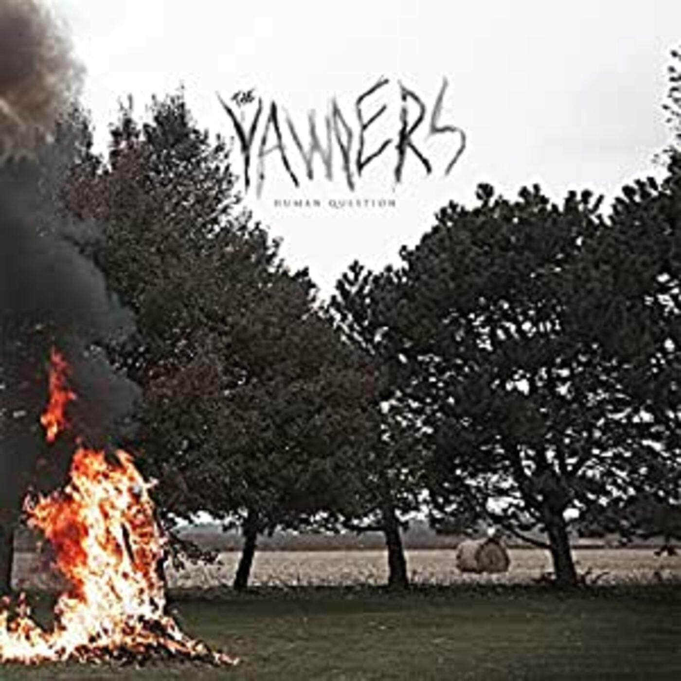 Yawpers - Human Question (CD) | Mint (M) Mint (M)-