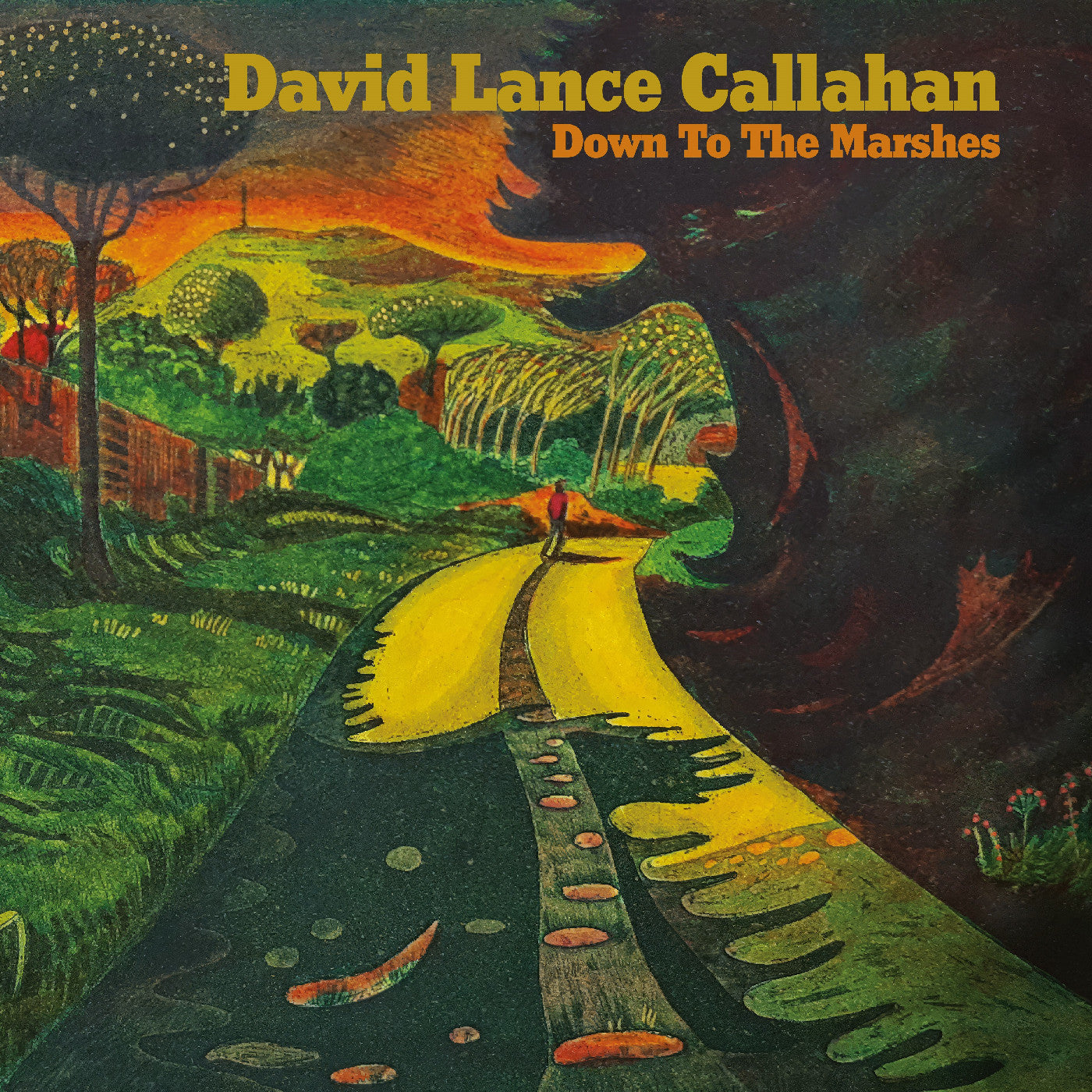 Callahan, David Lance - Down To The Marshes (Vinyl) | Mint (M) Mint (M)-