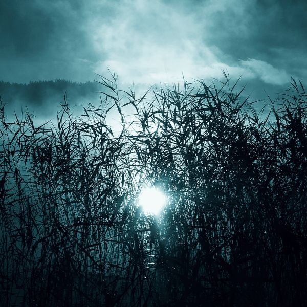 Oneirogen - Hypnos (Vinyl) | NEW Mint (M) Mint (M)-