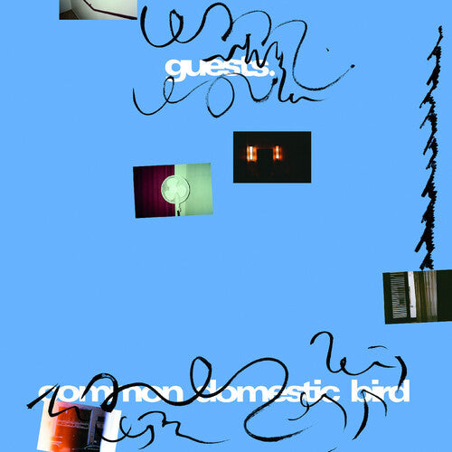 Guests - Common Domestic Bird (VINYL) | Mint (M) Mint (M)-