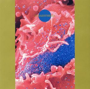 Death Ambient - Synaesthesia (CD) | Mint (M) Mint (M)-