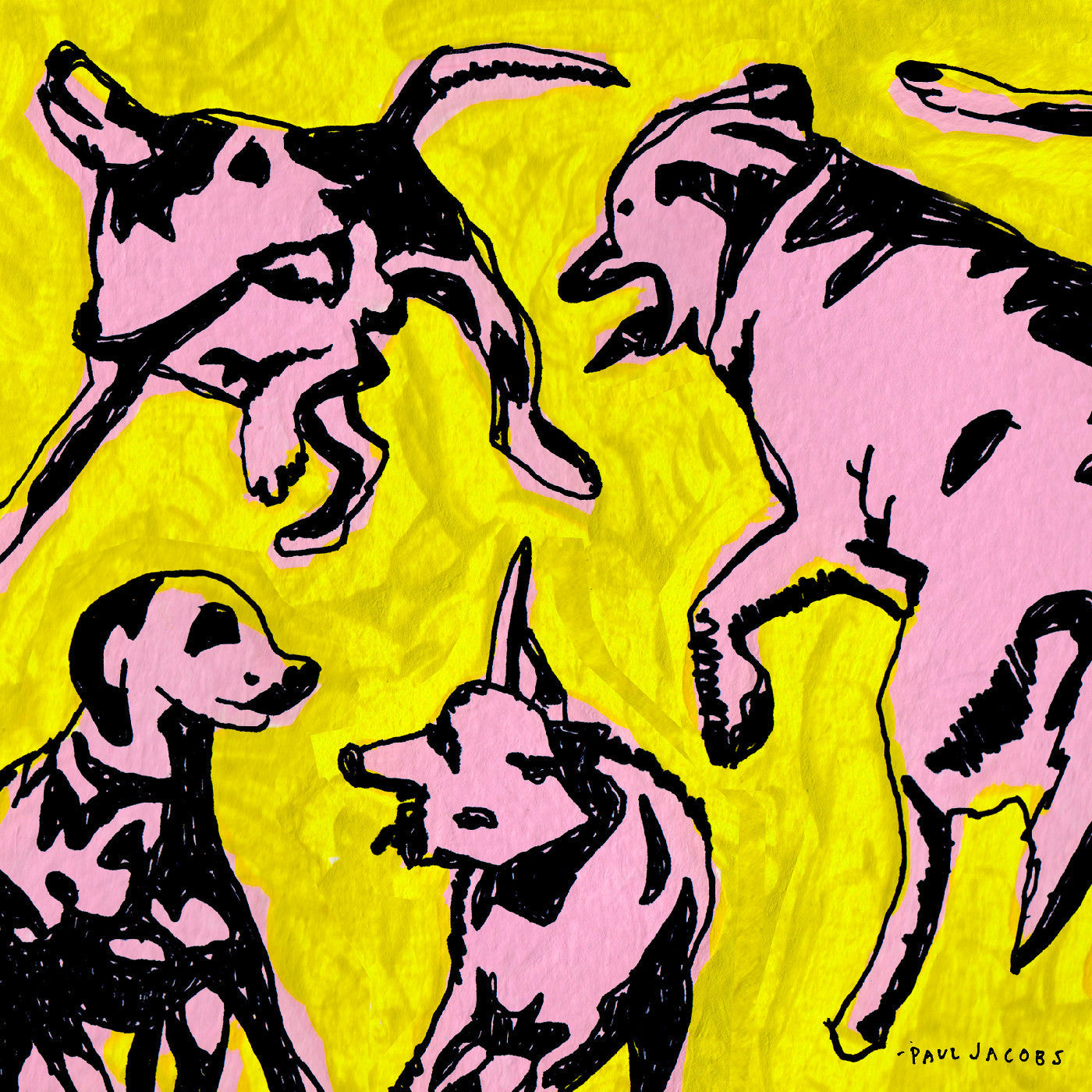 Jacobs, Paul - Pink Dogs on the Green Grass (CD) |-