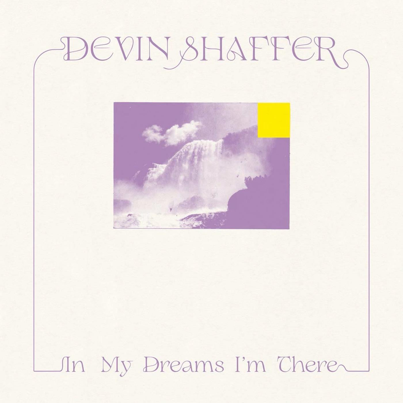 Shaffer, Devin - In My Dreams I'm There (CD) |-
