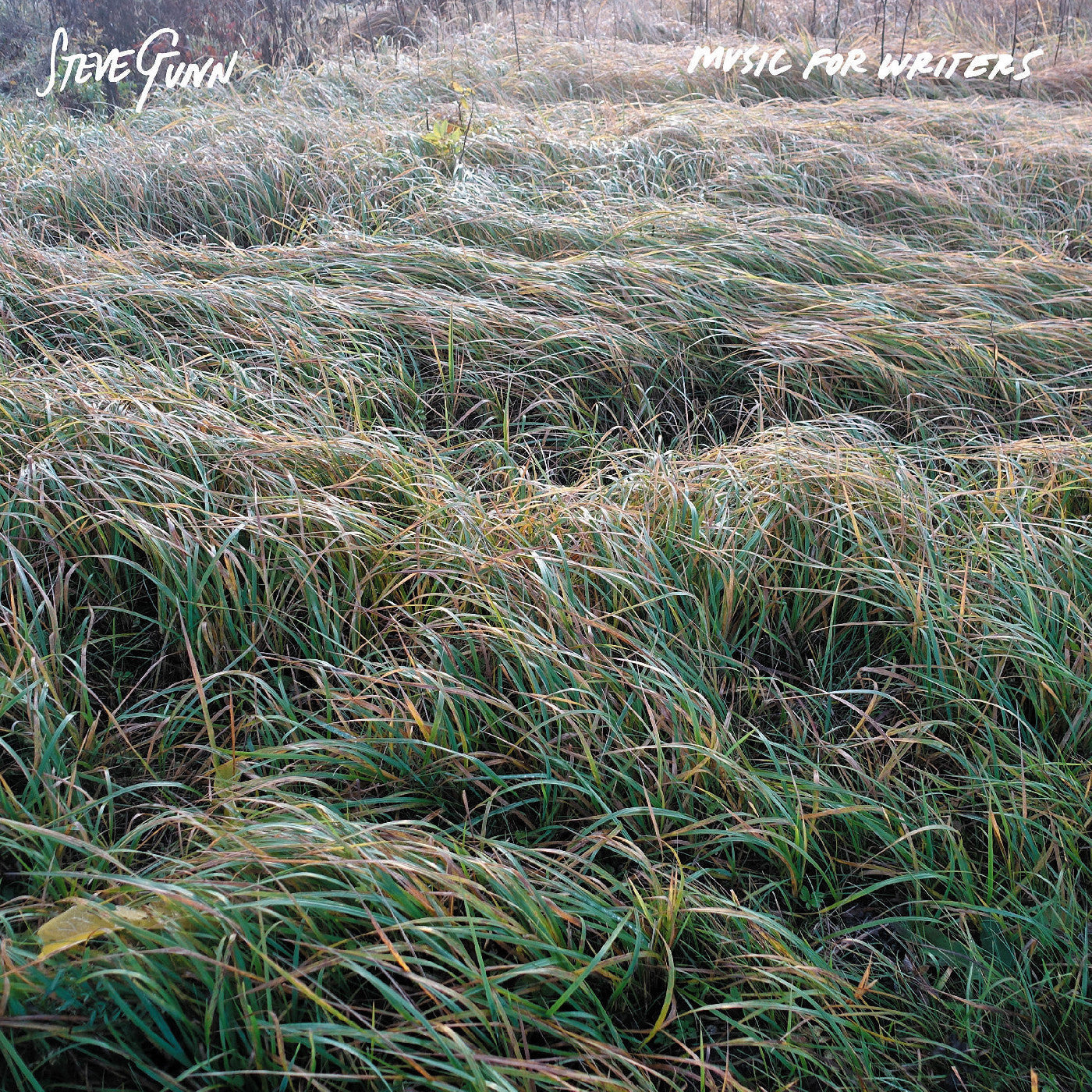 Gunn, Steve - Music For Writers |-