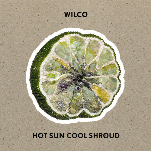 Wilco - Hot Sun Cool Shroud (CD) | Mint (M) Mint (M)-