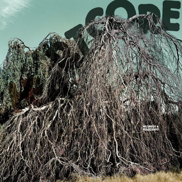 Wildbirds & Peacedrums - Heartcore (CD) |-
