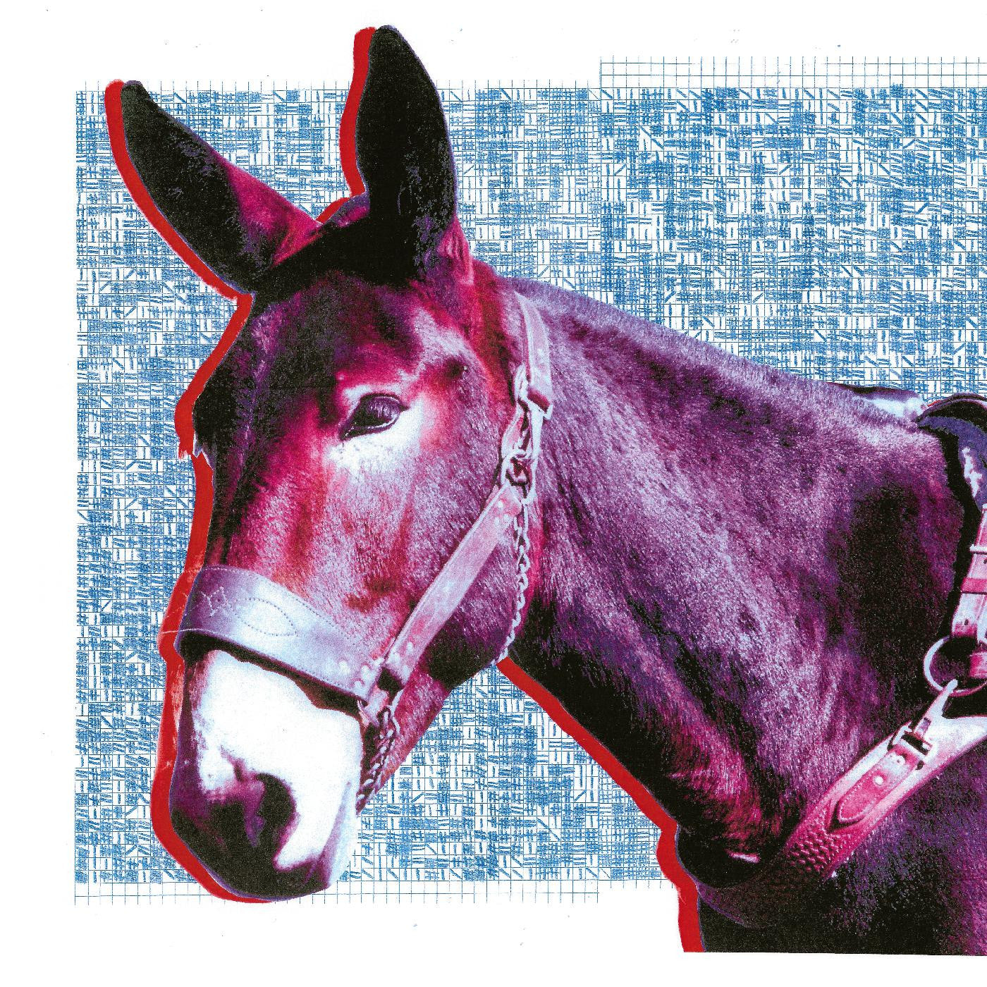 Protomartyr - Ultimate Success Today (CD) |-