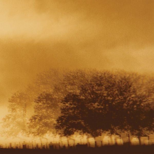 Infinite Light Ltd. - Infinite Light Ltd. (CD) | Mint (M) Mint (M)-