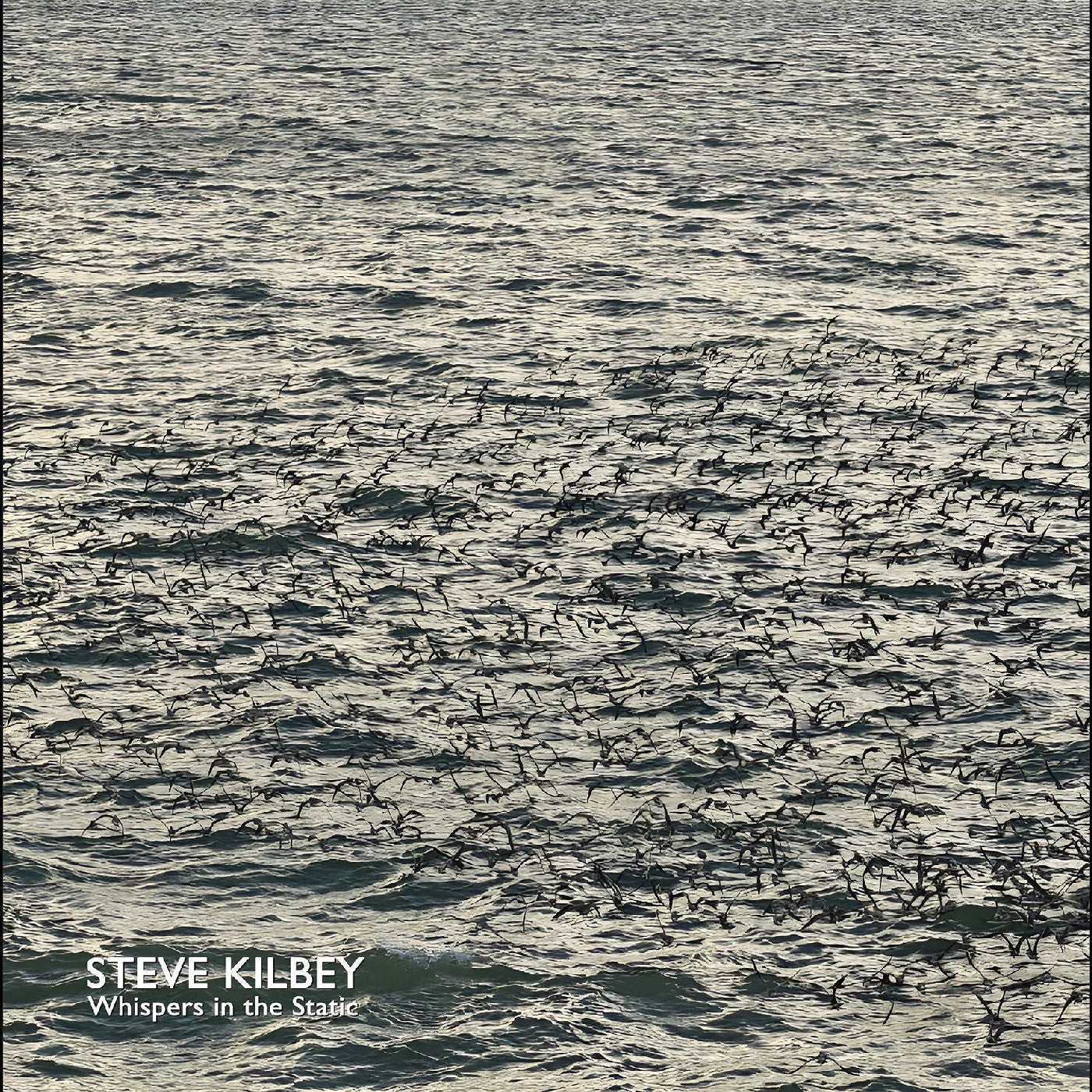 Kilbey, Steve - Whispers In The Static (GRAY VINYL) |-