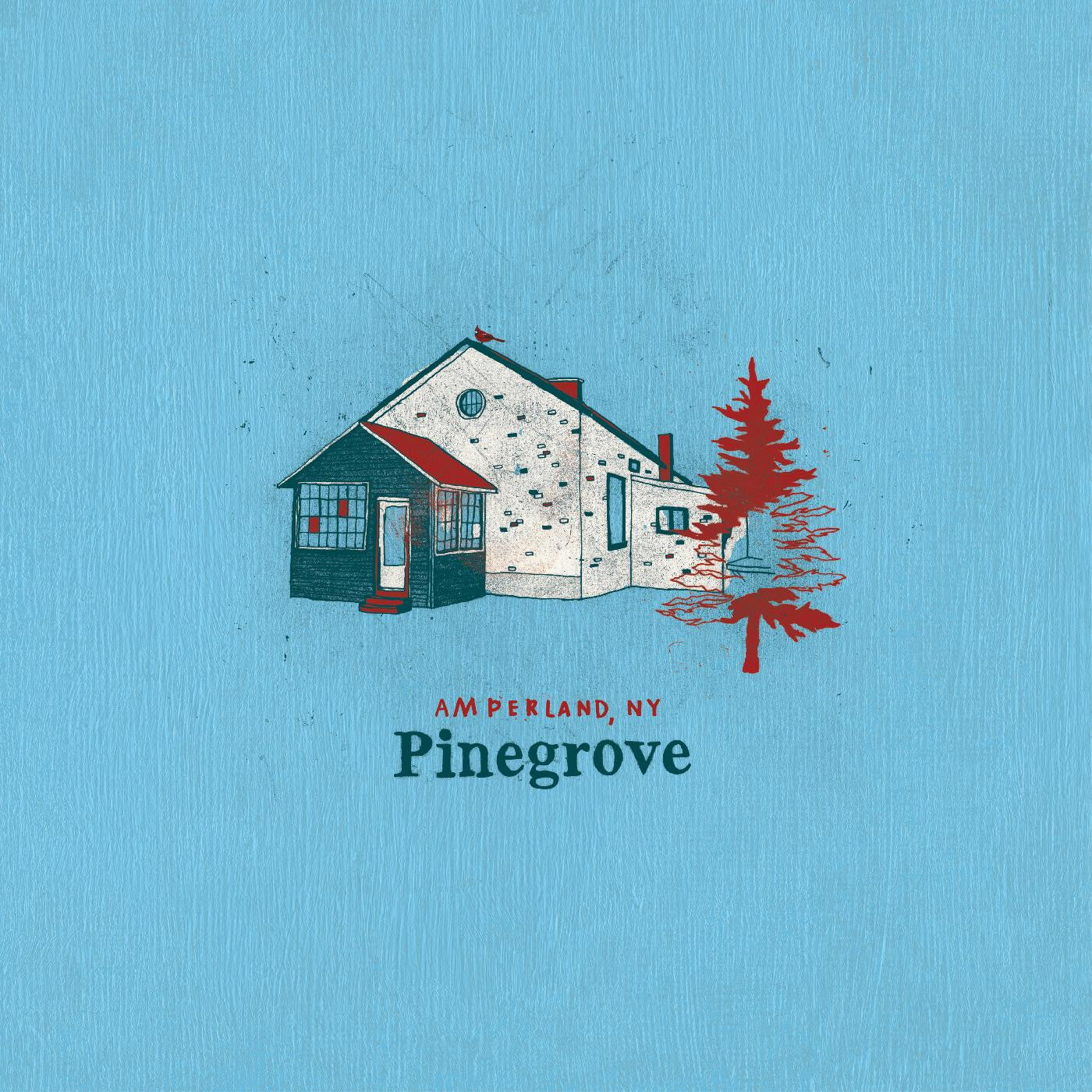 Pinegrove - Amperland, NY (CD) |-