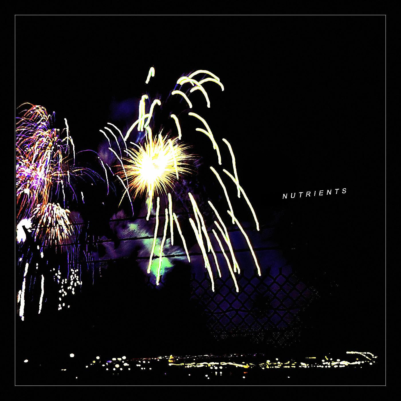 Nutrients - Different Bridges |-