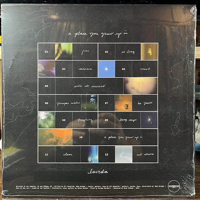 A Place You Grew Up In (VINYL) | Mint (M) Mint (M)-