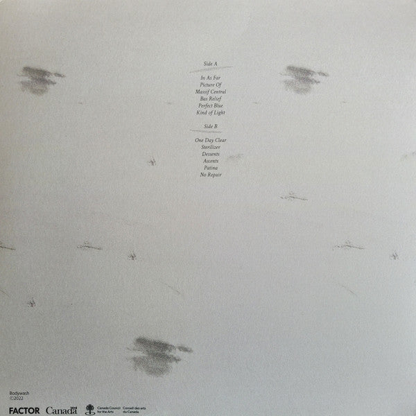 I Held The Shape While I Could (VINYL) | Near Mint (NM) Near Mint (NM)-