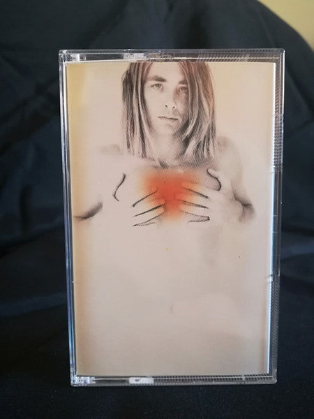 Francis Dunnery - Fearless *CASSETTE* | Near Mint (NM) Near Mint (NM)-