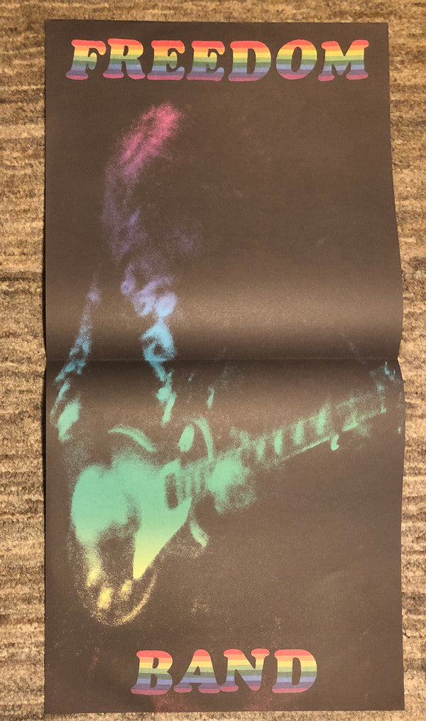 Ty Segall - Freedom’s Goblin (2xVINYL) | Mint (M) Mint (M)-
