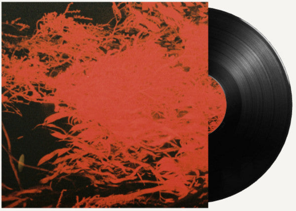 Anthony Naples - In Studio Magic (VINYL) | Mint (M) Mint (M)-