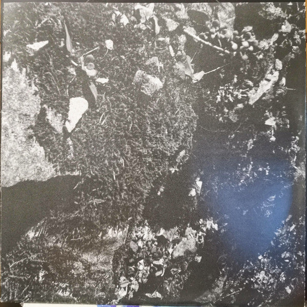 1979 (VINYL) |-