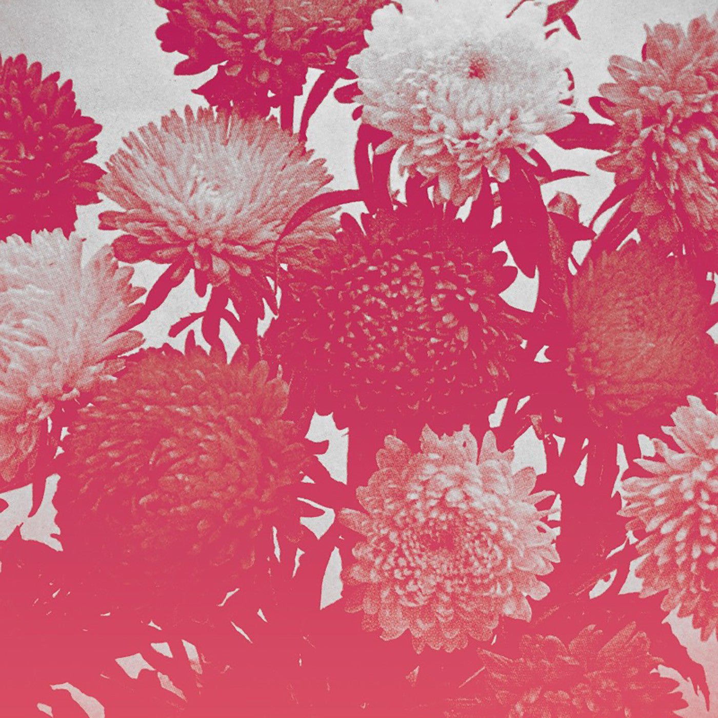 amelia courthouse - broken things | Mint (M) Mint (M)-