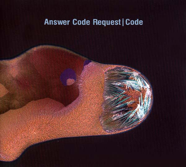 ANSWER CODE REQUEST - Code (CD Ostgut Ton OSTGUTCD31) |--