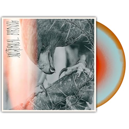 Author & Punisher - (PRE-ORDER 10/3/25) Nocturnal Birding (VINYL) | Mint (M) Mint (M)-