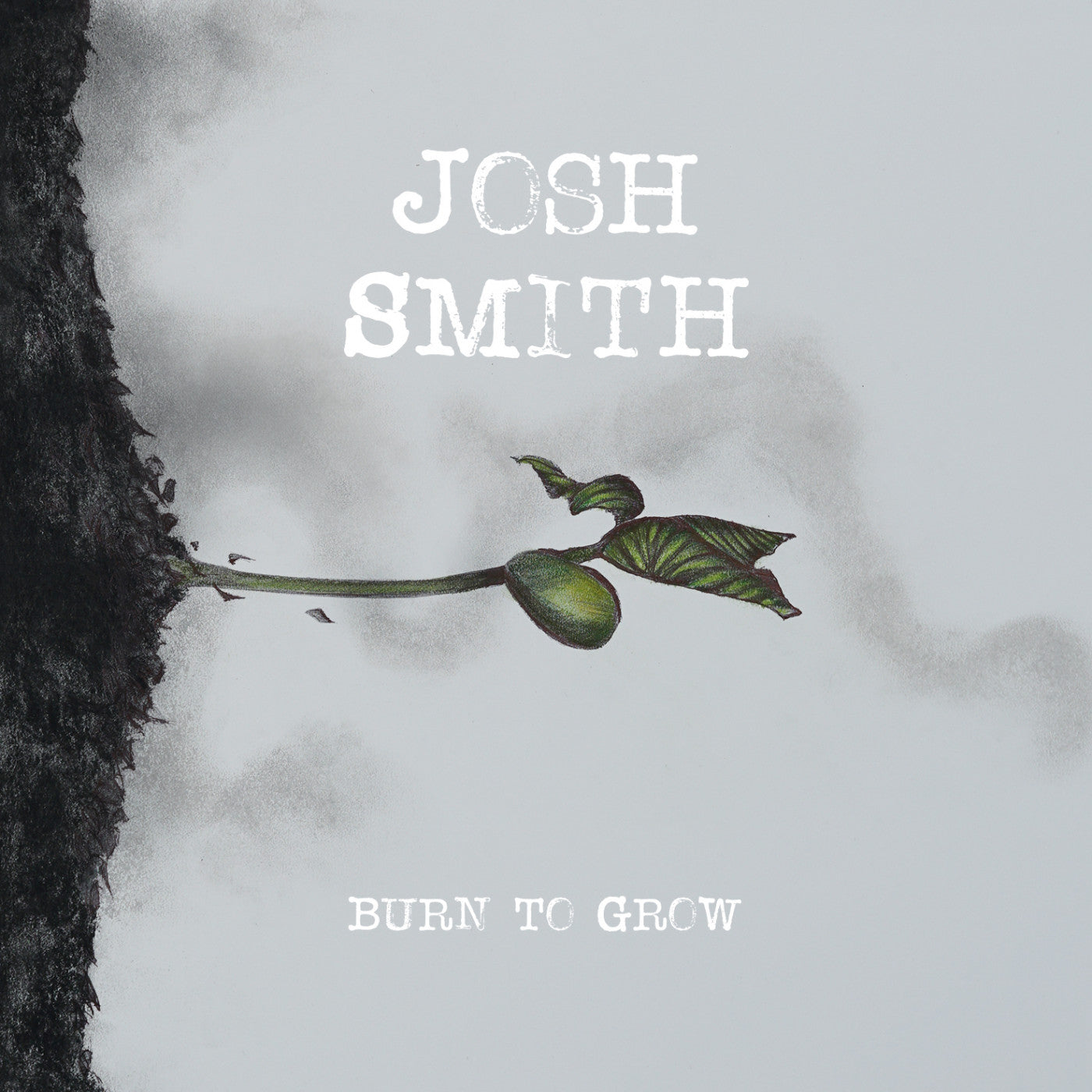 Smith, Josh - Burn To Grow (CD) |-