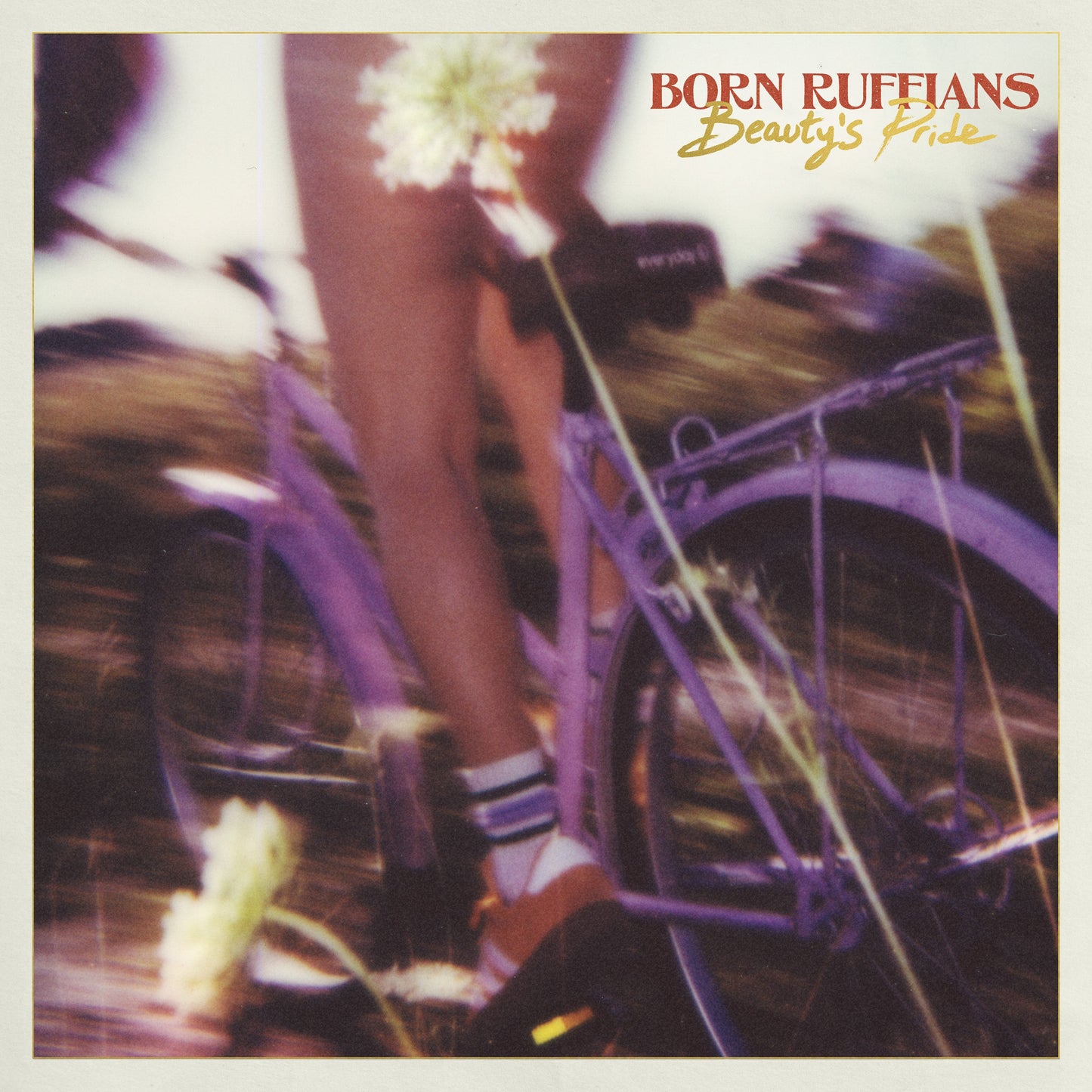 Born Ruffians - Beauty'S Pride (Purple VINYL) | Mint (M) Mint (M)-