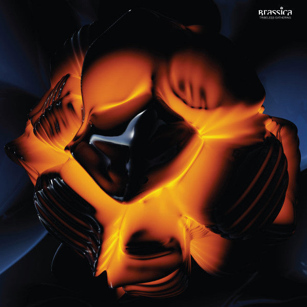 Tribeless Gathering (VINYL) | Mint (M) Mint (M)-