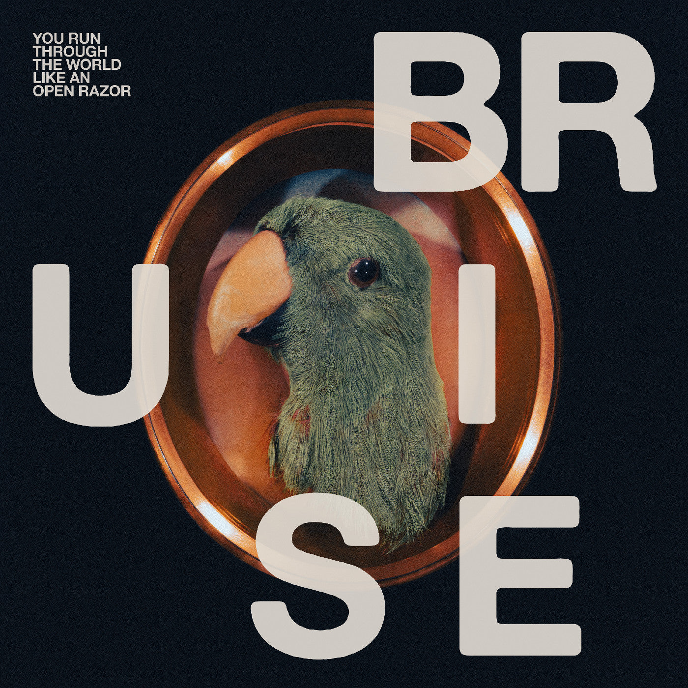 Bruise Blood - You Run Through The World Like An Open Razor (VINYL) |-
