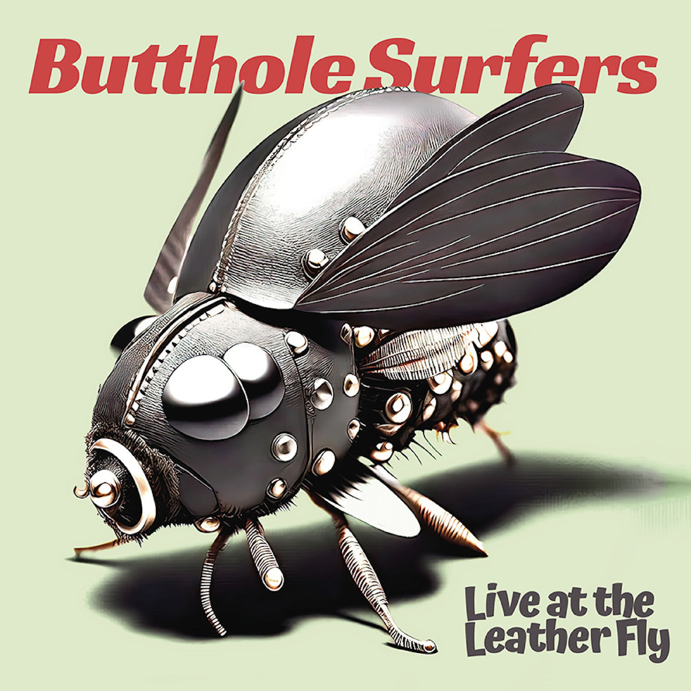 Butthole Surfers - Live At The Leather Fly (CD) | Mint (M) Mint (M)-