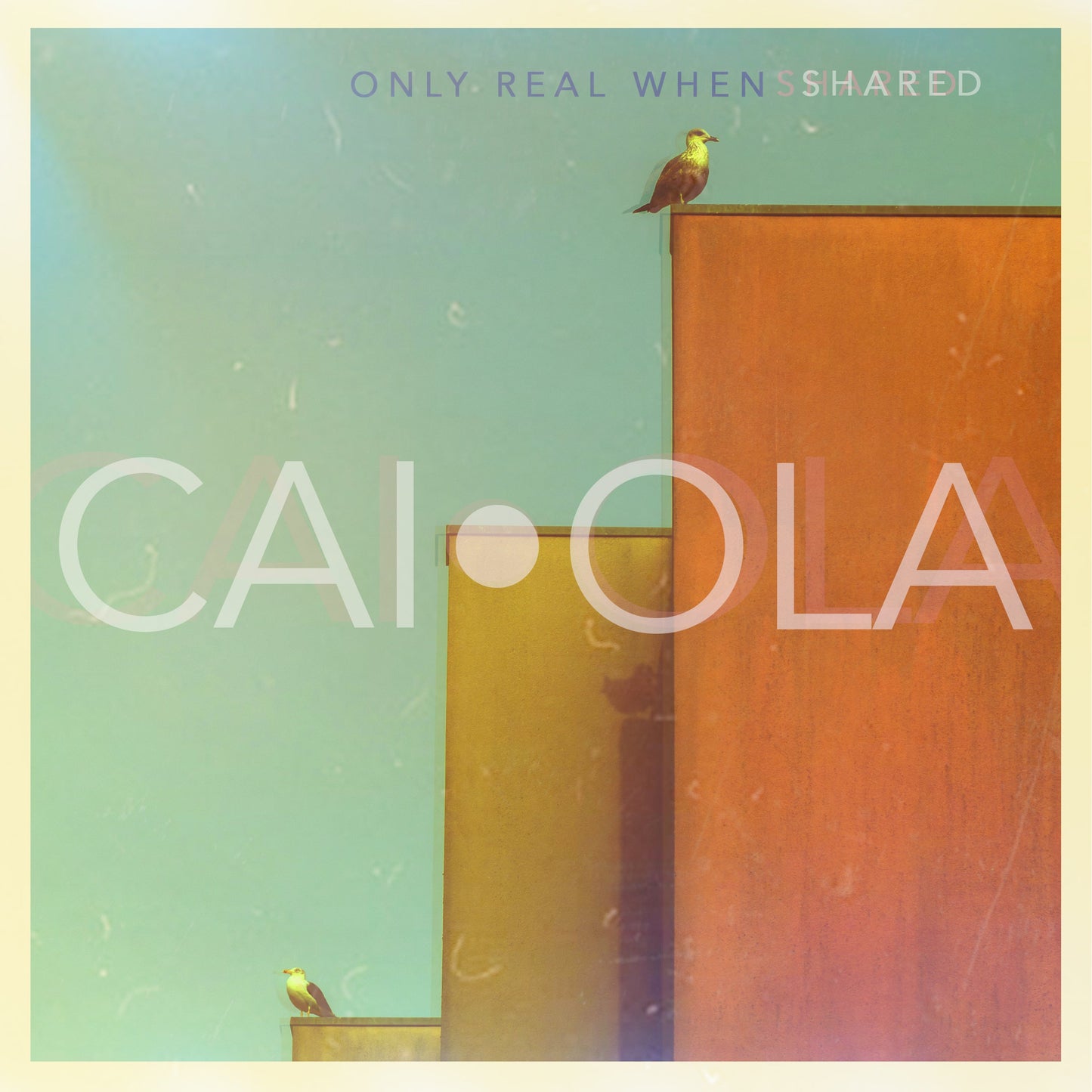 Caiola - Only Real When Shared (CD) | Mint (M) Mint (M)-