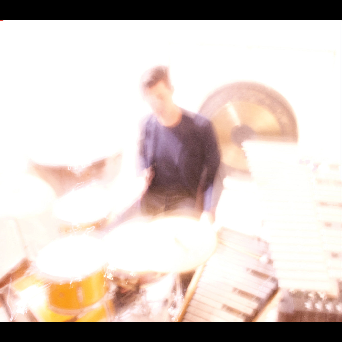 Ches Smith - The Self (CD) | Mint (M) Mint (M)-