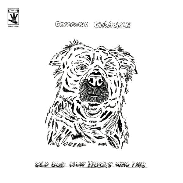 Old Dog New Tricks Who This | Mint (M) Mint (M)-