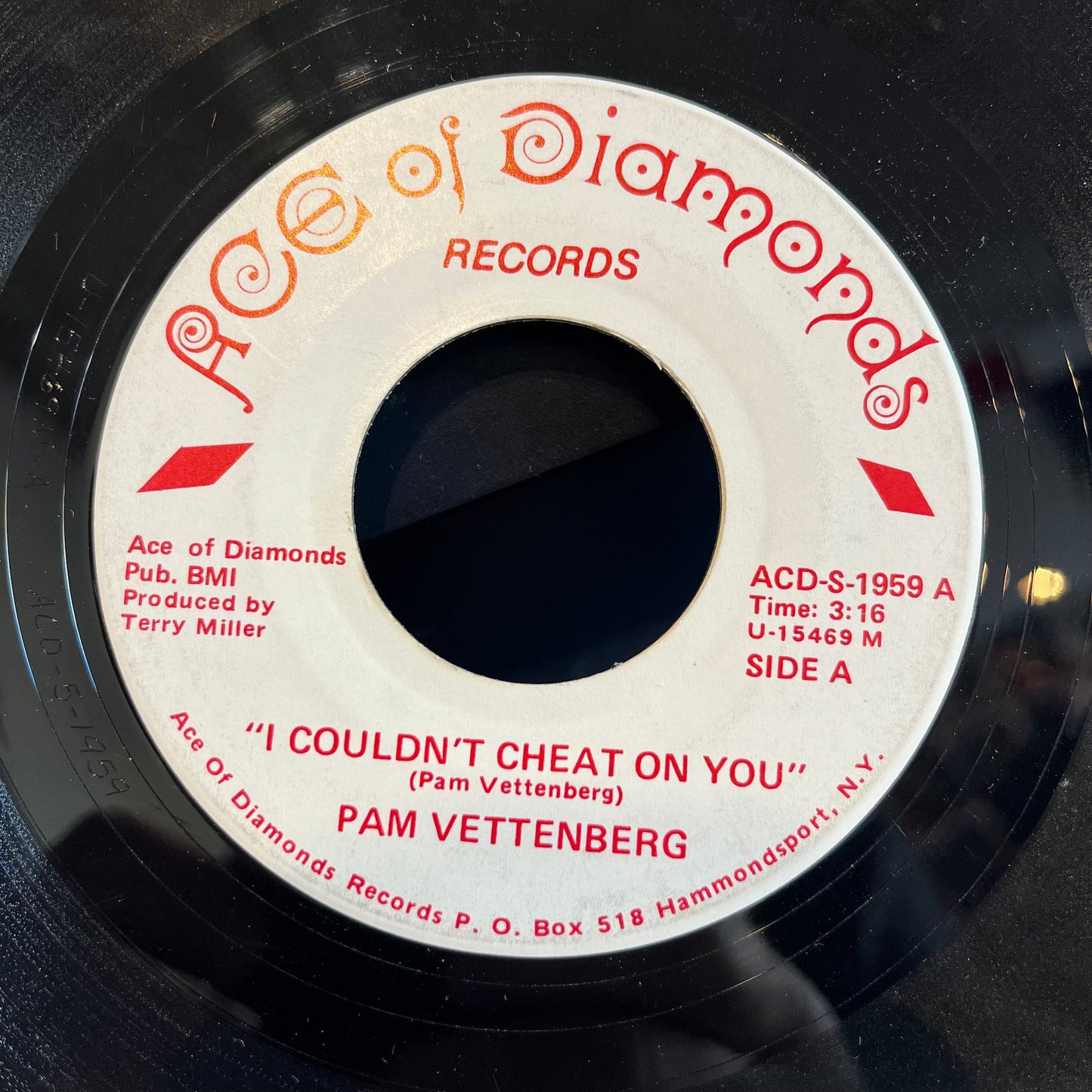 Pam Vettenberg - I Couldn't Cheat On You / I'm Lonely | Very Good Plus (VG+) Generic-