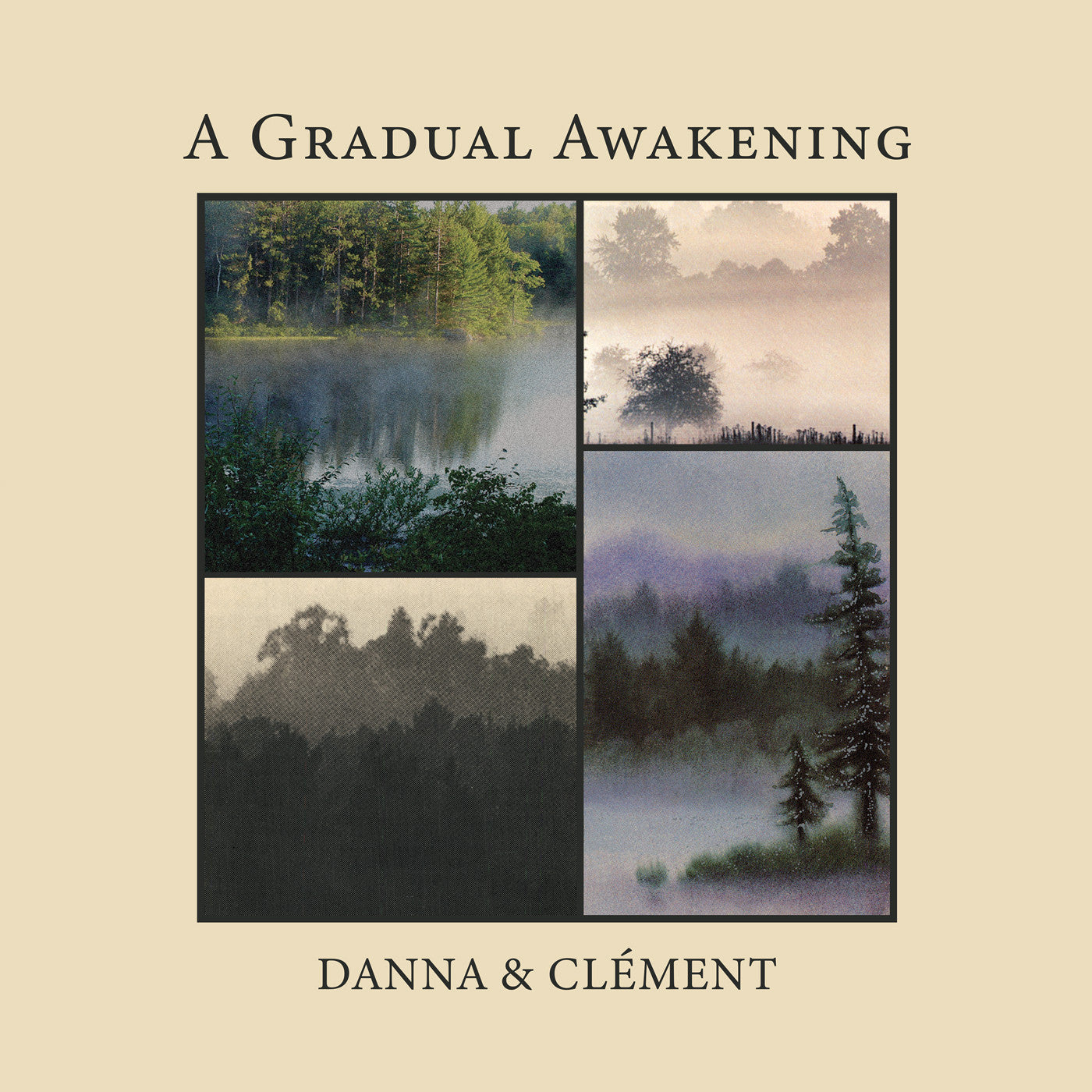 Danna And Clément - A Gradual Awakening (VINYL) | Mint (M) Mint (M)-