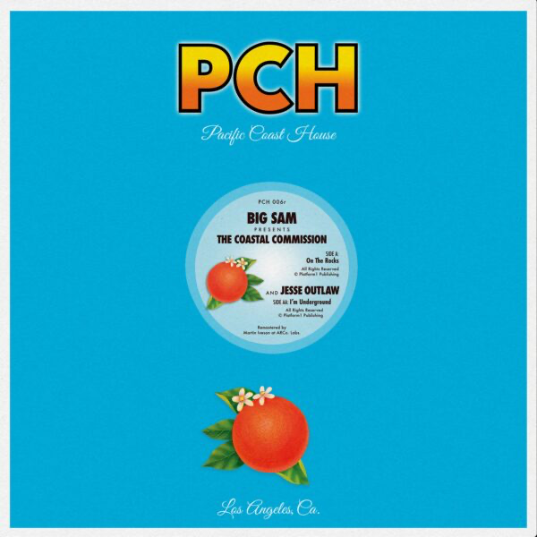 Coastal Commission - On the Rocks (VINYL) | Mint (M) Mint (M)-
