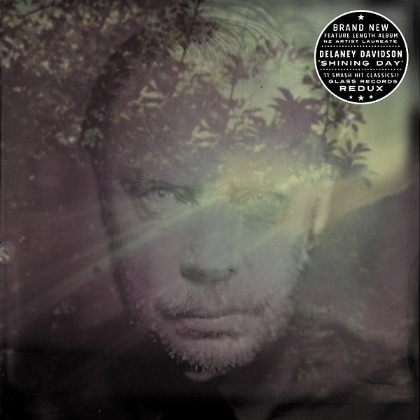 DELANEY DAVIDSON - Shining Day (VINYL) | Mint (M) Mint (M)-